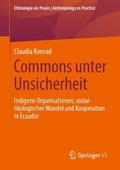 Commons unter Unsicherheit