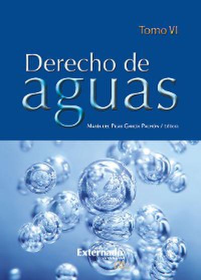 Derecho de Aguas Tomo VI