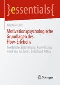 Motivationspsychologische Grundlagen des Flow-Erlebens