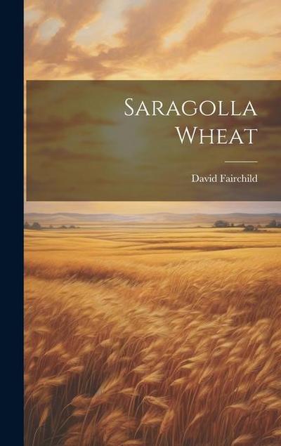 Saragolla Wheat