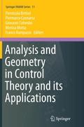Analysis and Geometry in Control Theory and its Applications
