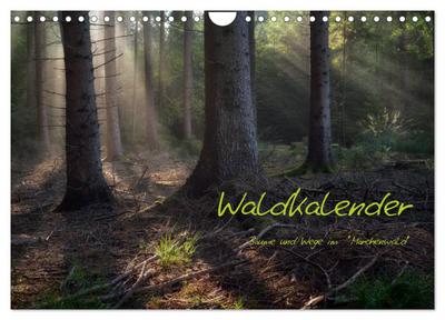 Waldkalender (Wandkalender 2026 DIN A4 quer), CALVENDO Monatskalender