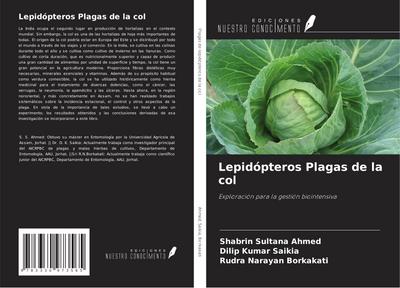 Lepidópteros Plagas de la col