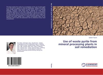 Use of waste pyrite from mineral processing plants in soil remediation