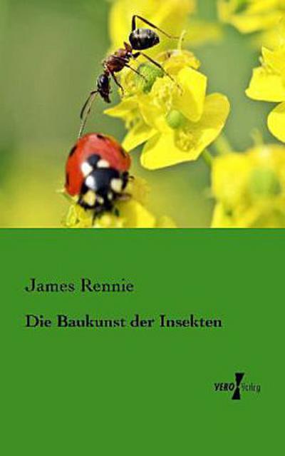 Die Baukunst der Insekten