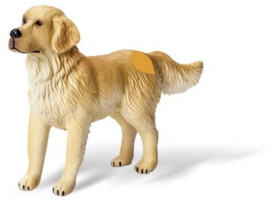tiptoi® Golden-Retriever-Rüde