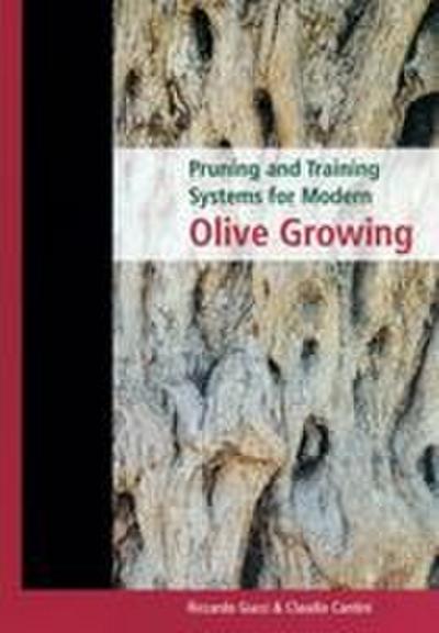 Pruning and Training Systems for Modern Olive Growing
