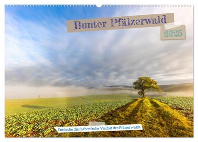 Bunter Pfälzerwald (Wandkalender 2025 DIN A2 quer), CALVENDO Monatskalender