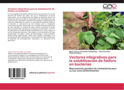 Vectores integrativos para la solubilización de fósforo en bacterias