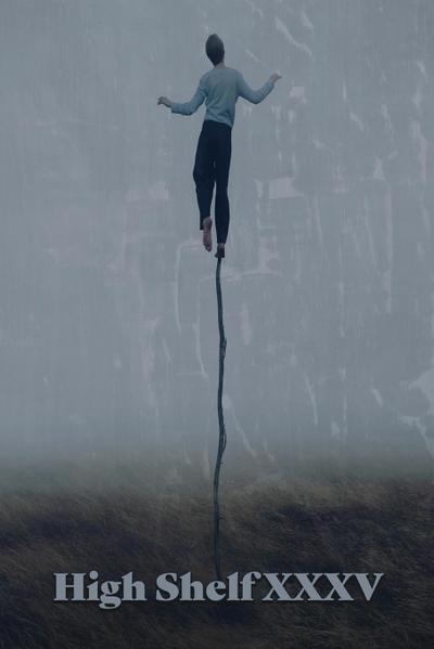 High Shelf XXXV