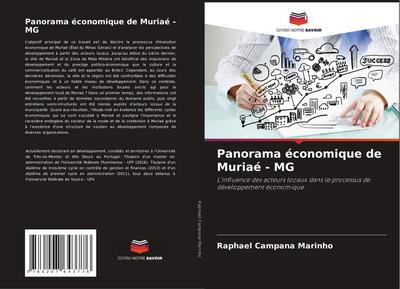 Panorama économique de Muriaé - MG