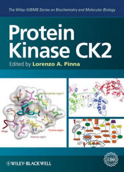 Protein Kinase Ck2