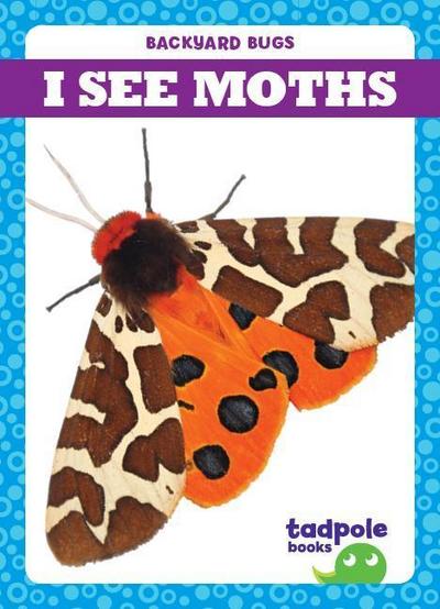 I See Moths