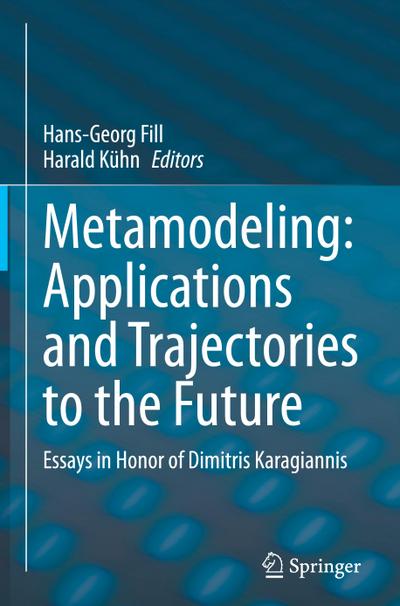 Metamodeling: Applications and Trajectories to the Future
