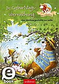 Hase und Holunderbär - Die Geburtstagsüberraschung