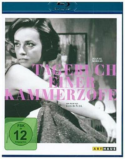 Tagebuch einer Kammerzofe