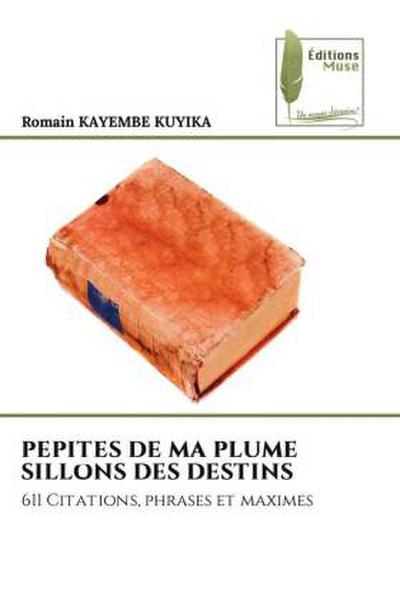 PEPITES DE MA PLUME SILLONS DES DESTINS