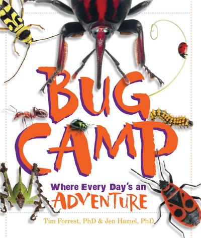 Bug Camp