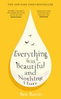 Everything was Beautiful and Nothing Hurt