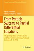 From Particle Systems to Partial Differential Equations