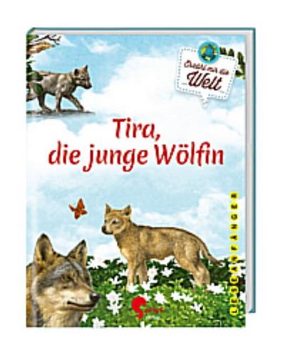 Tira, die junge Wölfin