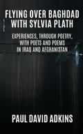 Flying over Baghdad with Sylvia Plath