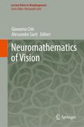 Neuromathematics of Vision