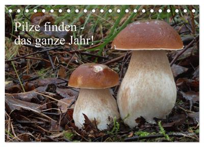 Pilze finden - das ganze Jahr! (Tischkalender 2026 DIN A5 quer), CALVENDO Monatskalender