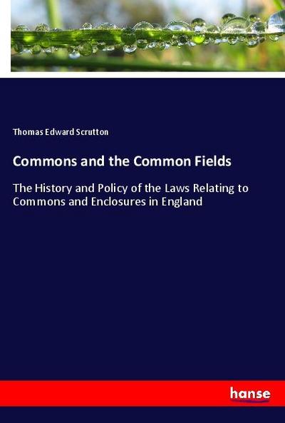 Commons and the Common Fields