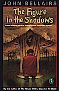 The Figure In the Shadows