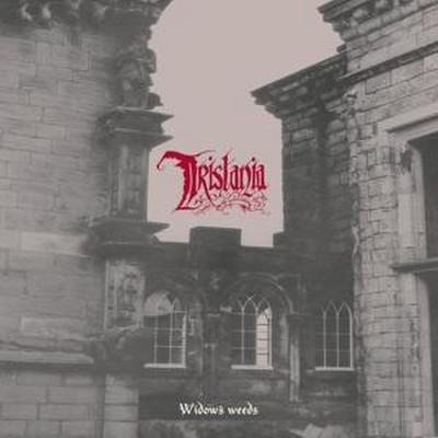 Widow’s Weeds & Tristania