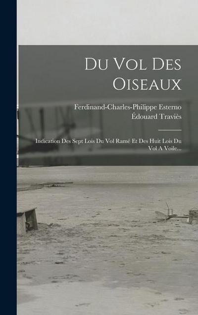 Du Vol Des Oiseaux