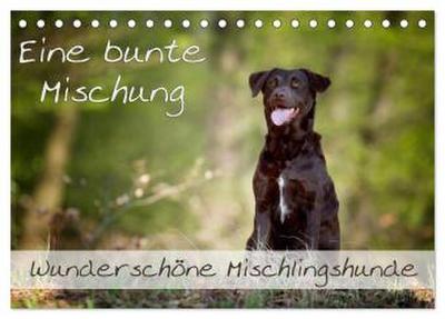 Eine bunte Mischung - wunderschöne Mischlingshunde / Geburtstagskalender (Tischkalender 2026 DIN A5 quer), CALVENDO Monatskalender
