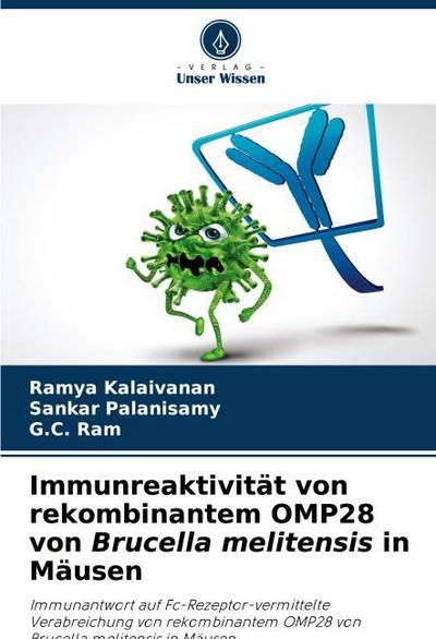 Immunreaktivität von rekombinantem OMP28 von Brucella melitensis in Mäusen