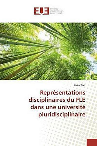 Représentations disciplinaires du FLE dans une université pluridisciplinaire