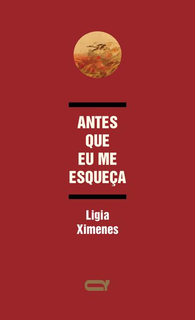 Antes que eu me esqueça