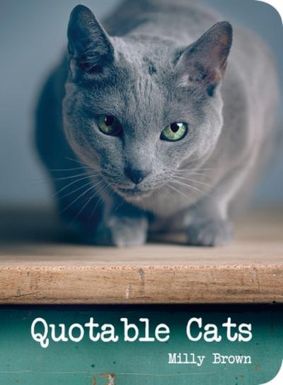 Quotable Cats