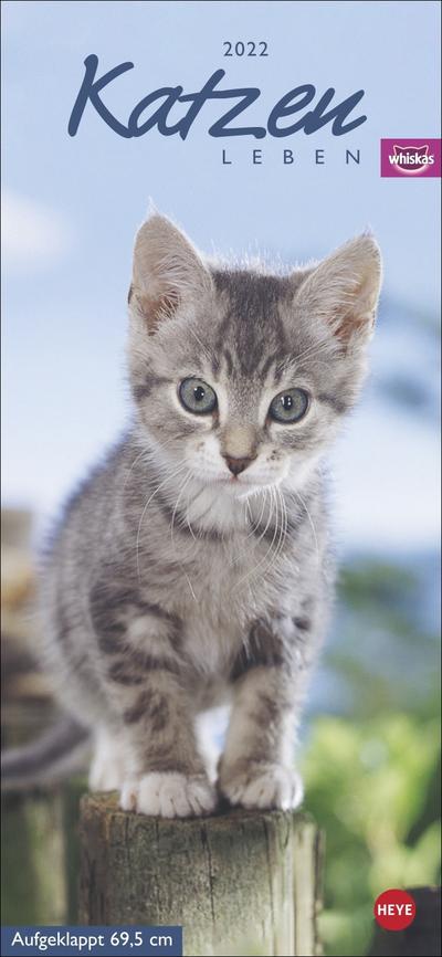 Whiskas Katzenleben Kalender 2022