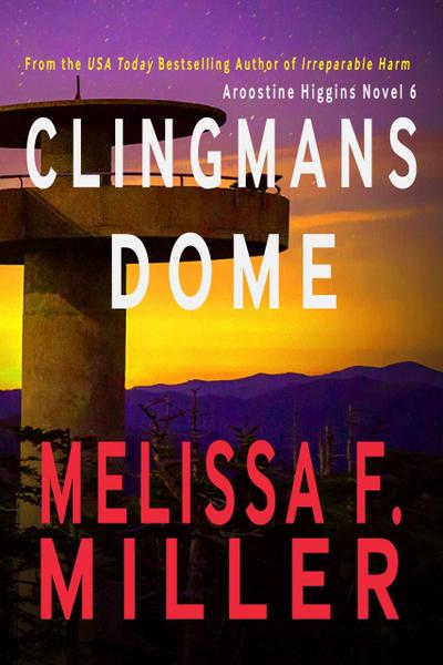 Clingmans Dome (Aroostine Higgins Novels, #6)
