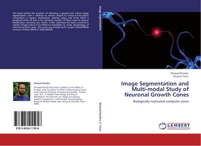 Image Segmentation and Multi-modal Study of Neuronal Growth Cones