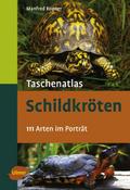 Schildkröten