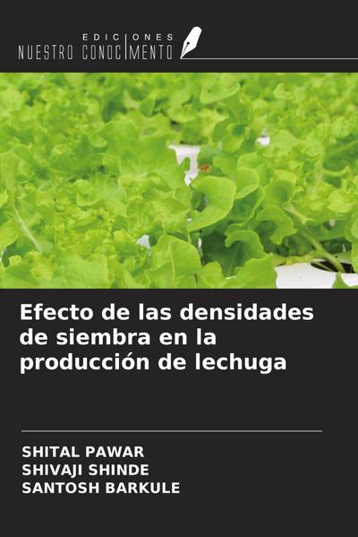 Efecto de las densidades de siembra en la producción de lechuga