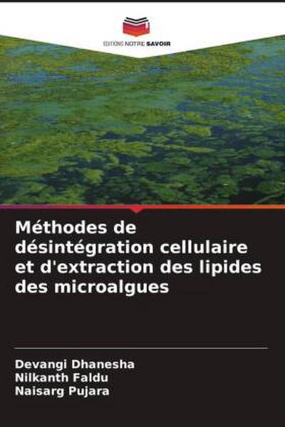 Méthodes de désintégration cellulaire et d’extraction des lipides des microalgues