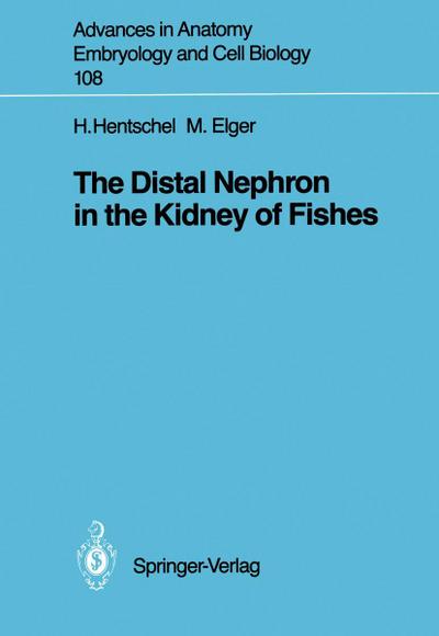 The Distal Nephron in the Kidney of Fishes