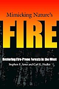 Mimicking Nature’s Fire