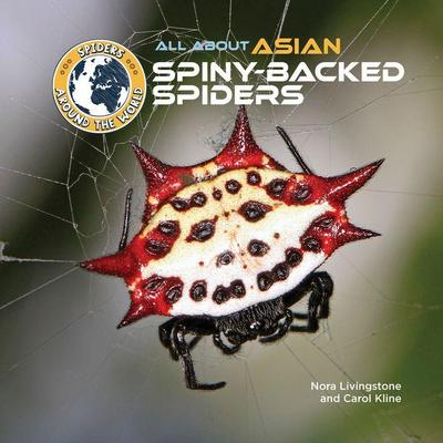 All about Asian Spiny-Backed Spiders