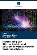 Herstellung von Siliziumkarbid und Silizium in verschiedenen Gasatmosphären