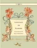 Language of Flowers - Illustrated by Kate Greenawa