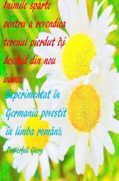 Inimile sparte pentru a revendica terenul pierdut î i deschid din nou inima