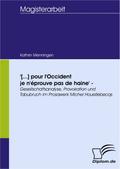 '[...] pour l'Occident je n'éprouve pas de haine' - Gesellschaftsanalyse, Provokation und Tabubruch im Prosawerk Michel Houellebecqs